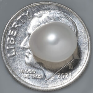 4.42ct Pearl - Certified Natural, Pear Cut