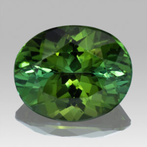 3.20ct Green Tourmaline, Oval Cut