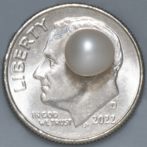 1.62ct Pearl - Certified Natural, Untreated, Button Cut