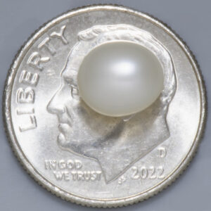 2.36ct Pearl - Certified Natural, Oval Cut