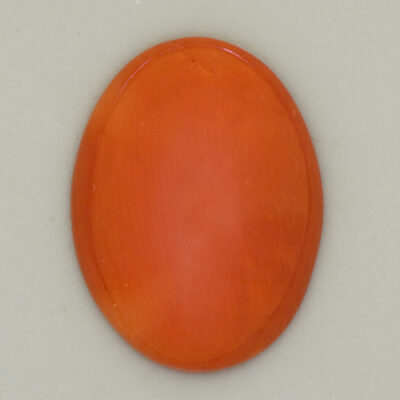 Red Coral Buying Guide
